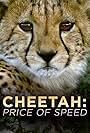 Cheetah: The Price of Speed (2010)