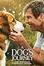 Dennis Quaid and Josh Gad in A Dog's Journey (2019)