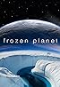 Frozen Planet (TV Mini Series 2011–2012) Poster