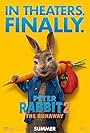James Corden in Peter Rabbit 2: The Runaway (2021)