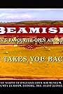 Beamish (1997)