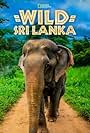 Wild Sri Lanka (2015)