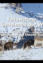 Yellowstone - Das Geheimnis der Wölfe (2018)