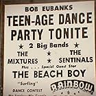 The Beach Boys in The Beach Boys (2024)