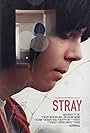 Stray (2017)