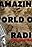 Amazing World of Radio