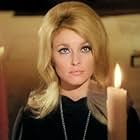 Sharon Tate in Eye of the Devil (1966)