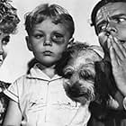 Arthur Lake, Larry Simms, Penny Singleton, and Daisy in Blondie Brings Up Baby (1939)