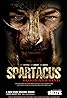 Spartacus (TV Series 2010–2013) Poster