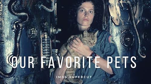Our Favorite Pets | IMDb Supercut