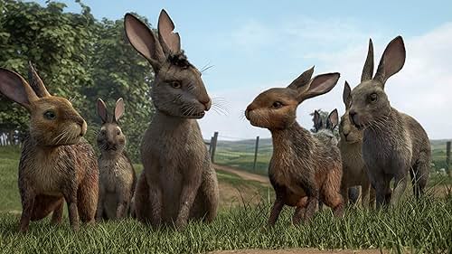 A tale of adventure, courage and survival that follows a band of rabbits as they flee the certain destruction of their home.