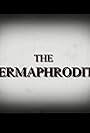 The Hermaphrodite (1996)