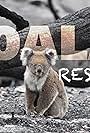 Koala Rescue (2020)