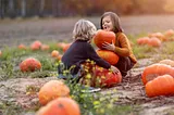 Kids playing at a pumpkin patch