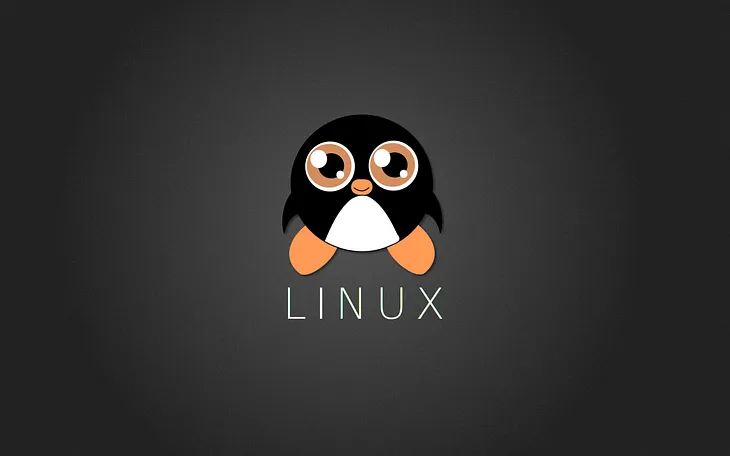 Common Linux Commands Used by Programmers