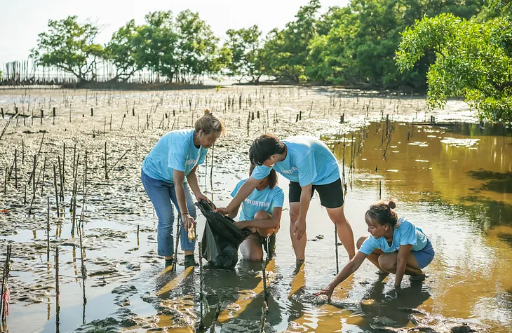 Volunteers working on Mangrove restoration.
