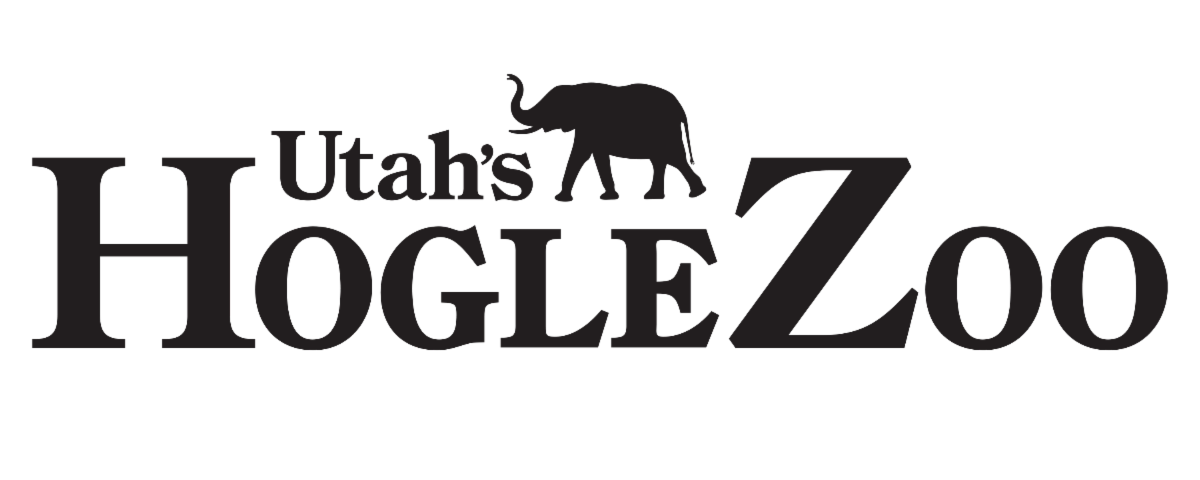 Utah's Hogle Zoo News