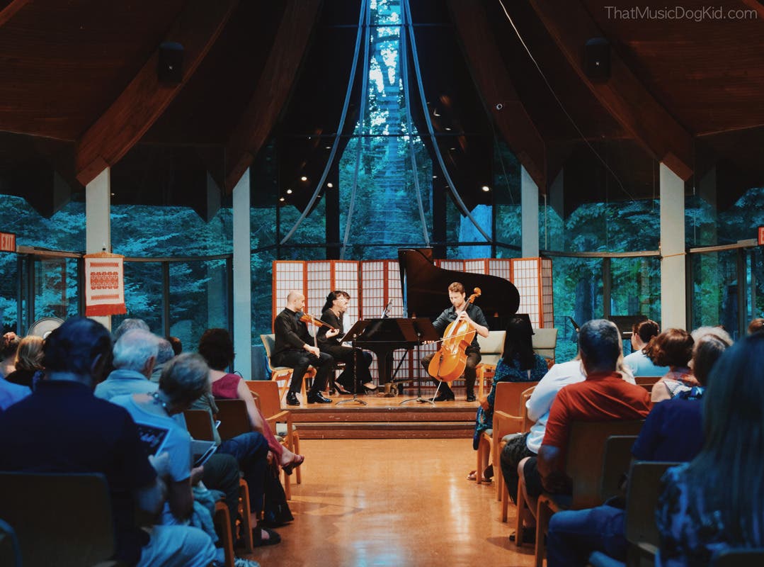 Festival Edelio 2024 Opening Concert - Enescu, Shostakovich and Saint-Saëns! 