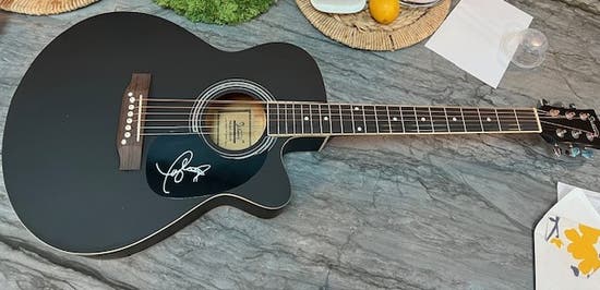 Exciting Auction open to public!Support Early Childhood Education!Signed Taylor Swift Guitar, & more