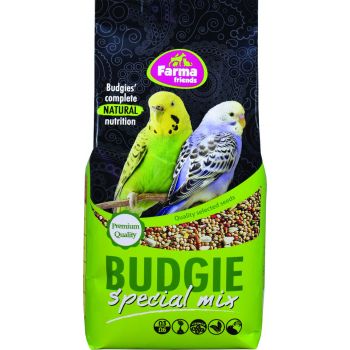  Budgie Special Mix Bird Food 1kg 