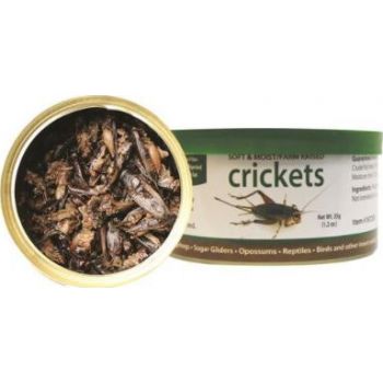  EXOTIC NUTRITION CRICKETS 35G 