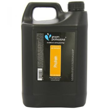  GROOM PROFESSIONAL 2 IN 1 PROTEIN SHAMPOO 4 LITRE : 842095 