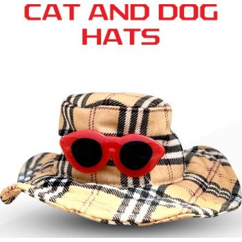  SAAS Pet Hat with Glass Small 