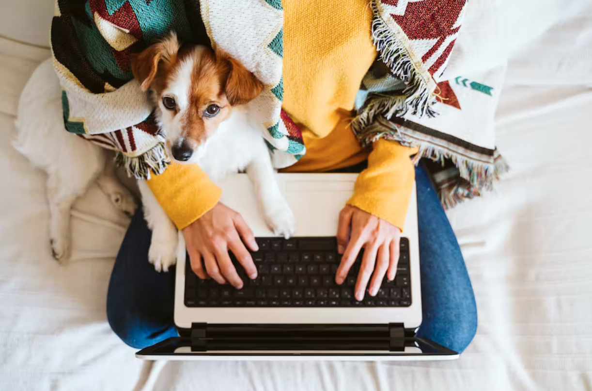 person on laptop with dog in lap