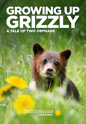 Immagine dell'icona Growing Up Grizzly