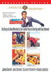 Slika ikone Mister Buddwing (1966)