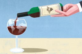 Wine illustration