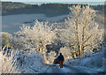NT2439 : Winter morning walk by Jim Barton