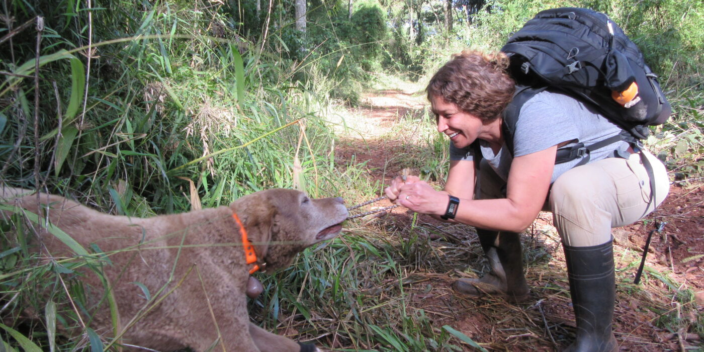 Karen DeMatteo plays with Train, a Chesapeake Bay retriever who assisted in her research efforts by sniffing out evidence of five carnivores: pumas, ocelots, jaguars, southern tiger cats and bush dogs. (Photo: Courtesy Karen DeMatteo)
