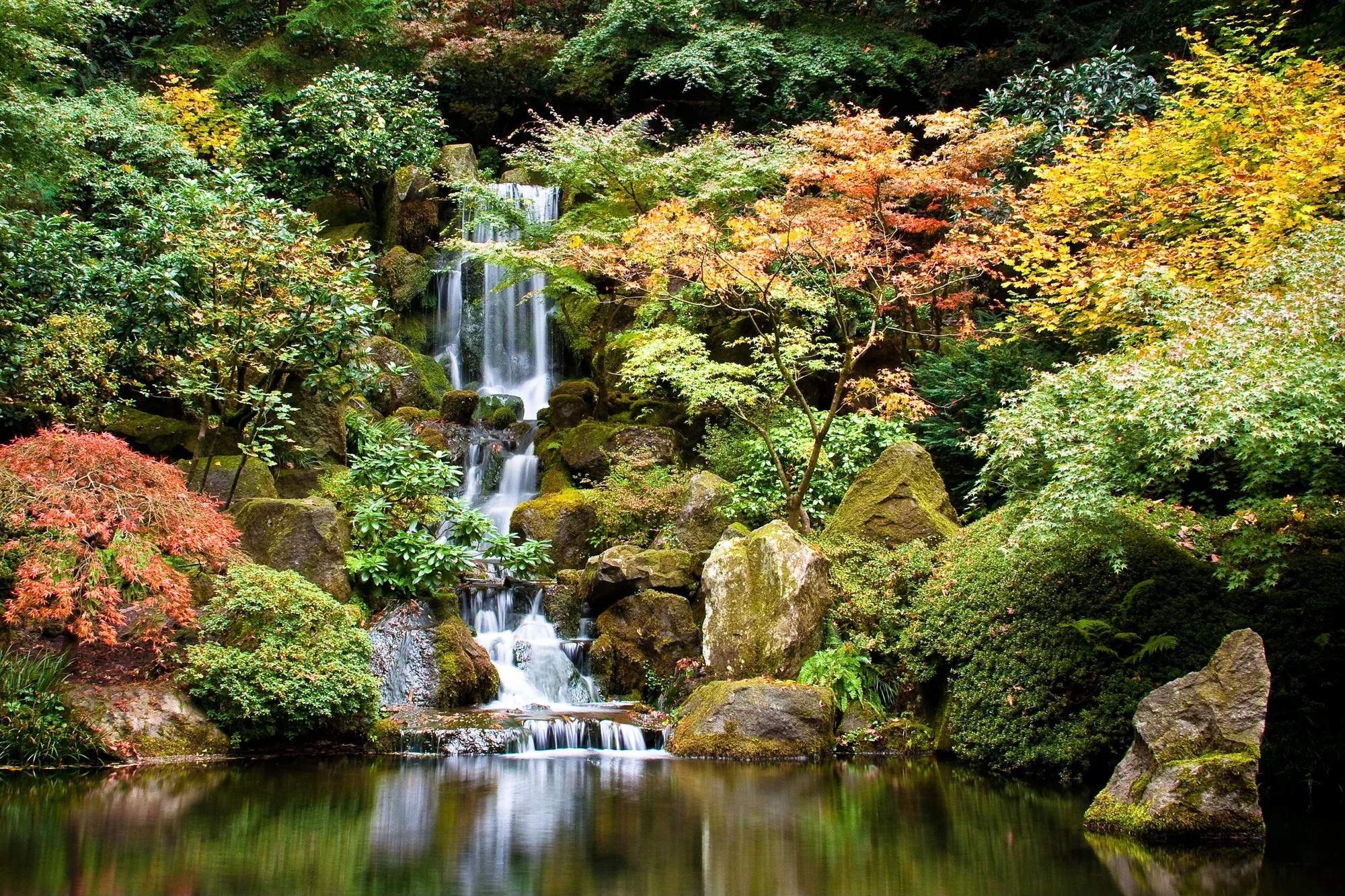 A serene waterfall cascading into a tranquil pond surrounded by vibrant foliage in an idyllic garden setting.