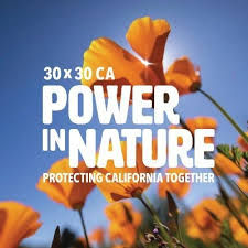 Power in Nature Coalition Responds to Governor Newsom's Revised Budget, Calls for Climate Bond