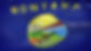 Montana Apostille Flag Logo
